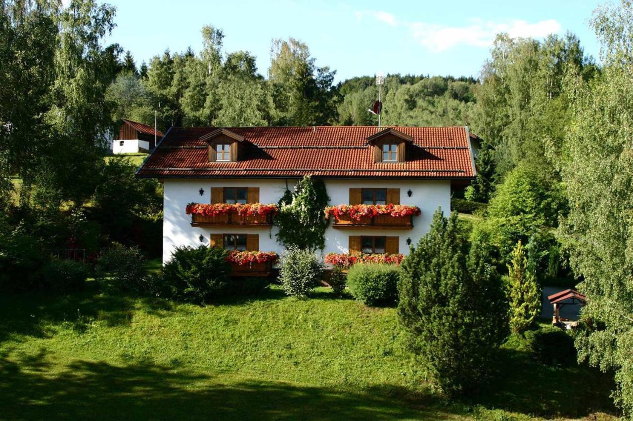 Ferienwohnungen Haus "Wildschuetz" Frauenau Exterior foto