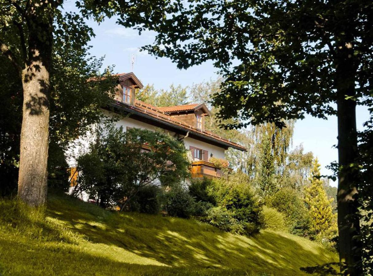 Ferienwohnungen Haus "Wildschuetz" Frauenau Exterior foto